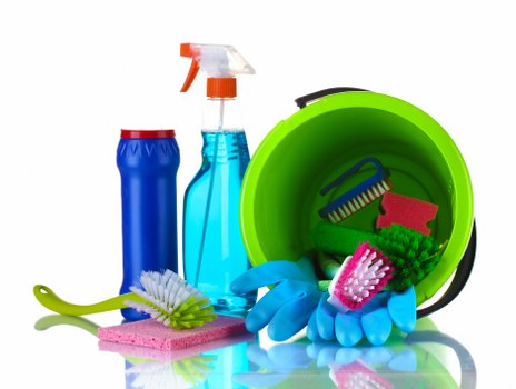 Professional carpet cleaning service in progress