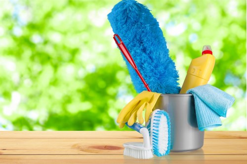 Professional pet stain odour removal on carpet in Cowley home
